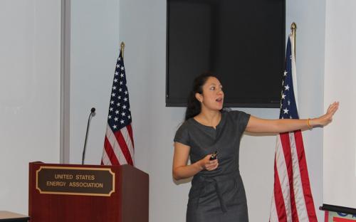 Global Workshop on Clean Energy Development: Establishing a Foundation for Low Carbon Energy Systems image 68